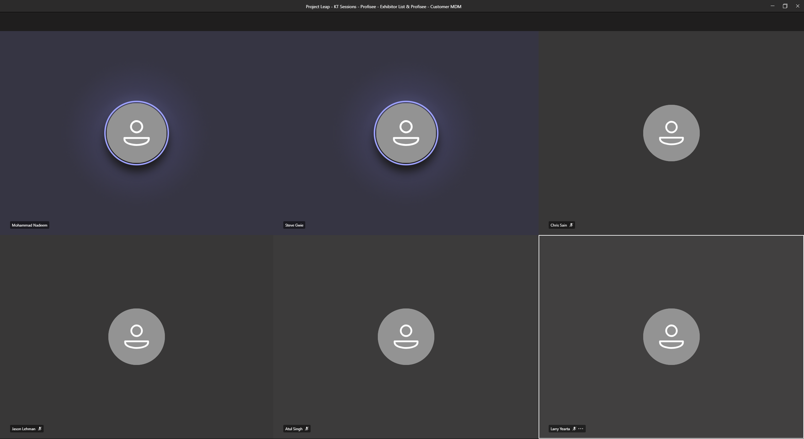 Teams-möte utan bild